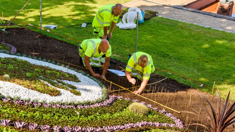 Landscape Border Installation